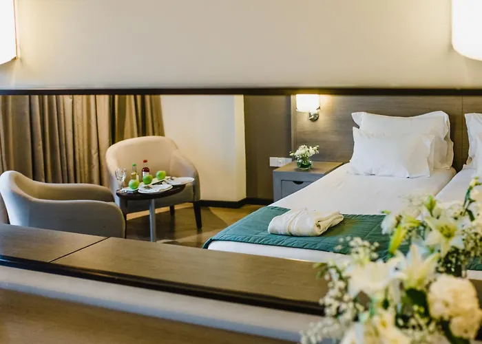 Napa Plaza (adults Only) Hotel